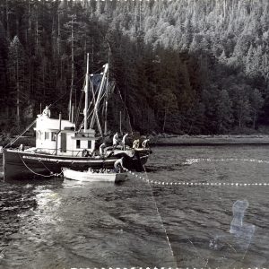 "Closing up net" Photo provided by LIǦʷIŁDAX̌ʷ Research Centre